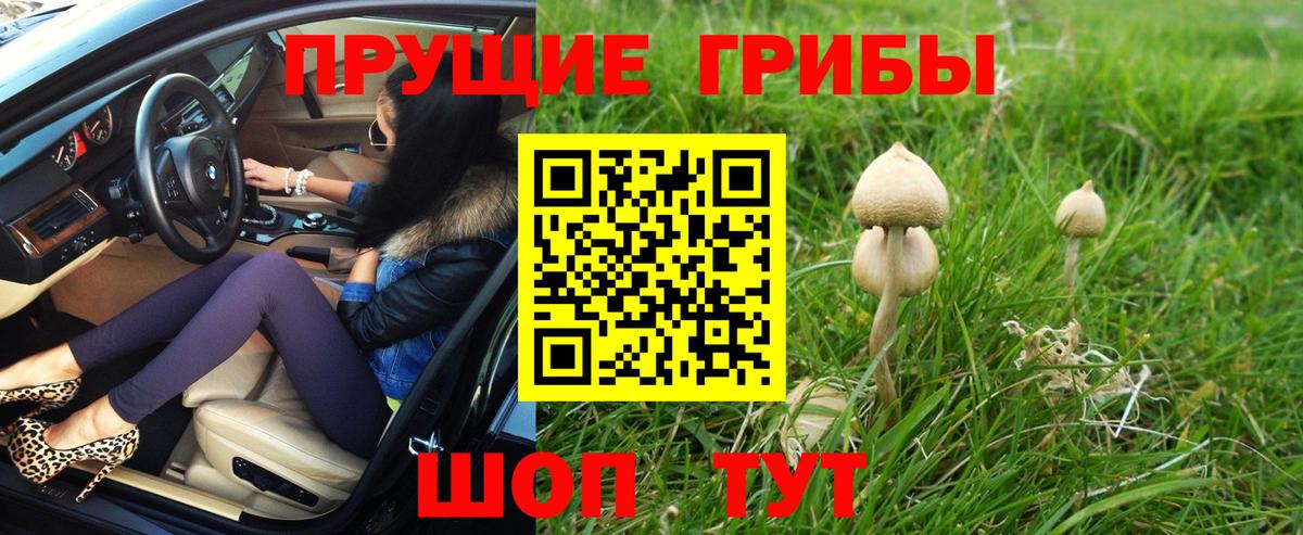 Галлюциногенные грибы мицелий Воронеж